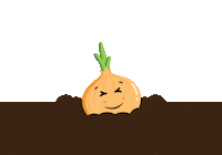 Red Onion Sticker by Gills Onions