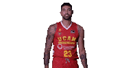 Vamos Liga Endesa Sticker by ACB