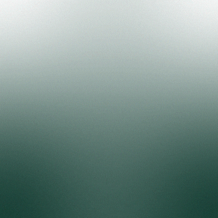 Msu Msubasketball GIF by Michigan State Athletics