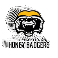 Basketball Nba Sticker by Brampton Honey Badgers