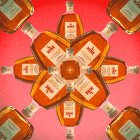 HineCognacs party cognac homage hine GIF