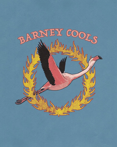Barney Cools Flaming Flamingo