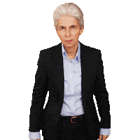 Fdpbt Freiedemokraten Sticker by Fraktion der Freien Demokraten im Deutschen Bundestag