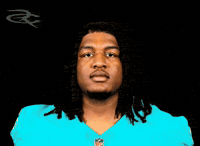 Miami Dolphins GIF by Respective