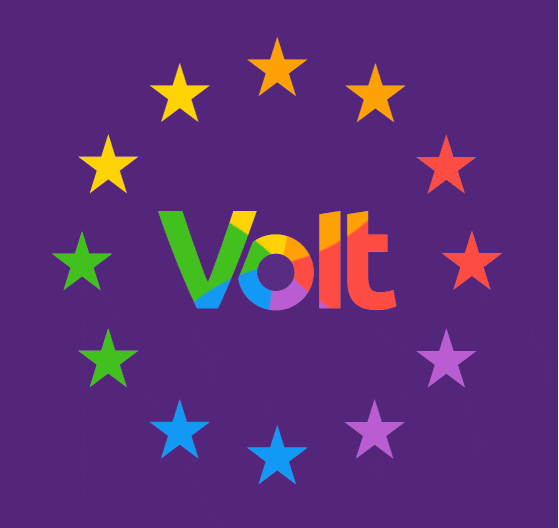 Pride Lgbt GIF by Volt Europa