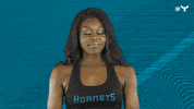 Honey Bee Dance GIF by Charlotte Hornets