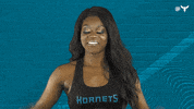 Honey Bee Dance GIF by Charlotte Hornets