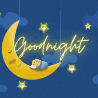 Good Night Love GIF by SacredPlantCO