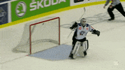 Happy Celebration GIF by Champions Hockey League