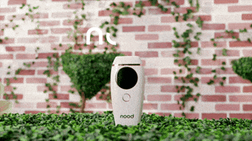 TryNood laser ipl bush hair removal GIF