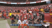 National Football League GIF by NFL