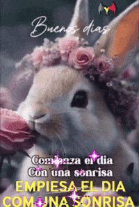 Good Morning Amigos GIF by Murcianys LLC