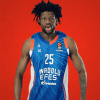 Sport Basketball GIF by Anadolu Efes SK