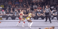 Hikaru Shida Aew On Tnt GIF by All Elite Wrestling on TNT