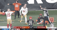 Football Sport GIF by NFL