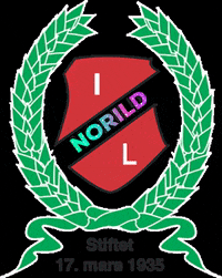 norild_official norild GIF