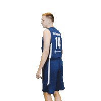 Bensheim Sticker by VfL Basketball