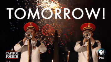 http://www.pbs.org/a-capitol-fourth/home/ GIF by PBS