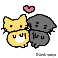 Cat Kitty GIF