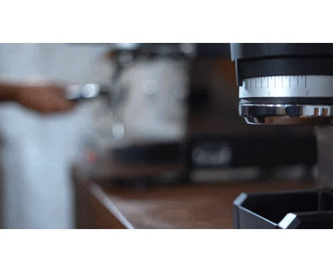 Sticker by La Marzocco Home