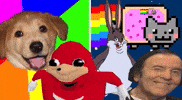 Dog Wow GIF
