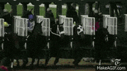 horse racing GIF