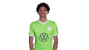 Simple As That Football Sticker by VfL Wolfsburg