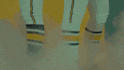 Softball Bison GIF by NDSU Athletics