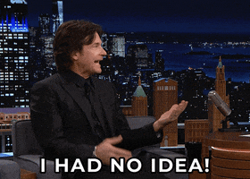 Tonight Show What GIF by The Tonight Show Starring Jimmy Fallon