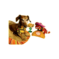 Fiesta Tacos Sticker by Geekster Pets