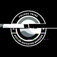 CalusaRecovery recovery calusa calusarecovery GIF