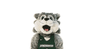 Binghamtonu Sticker by Binghamton University