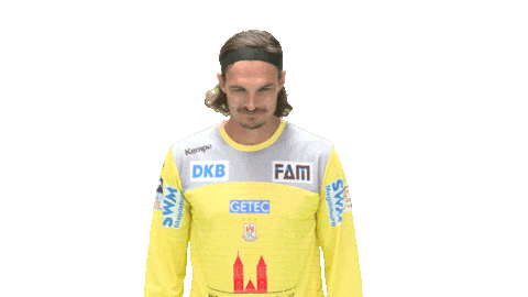 Handball-Bundesliga Handball Sticker by LIQUI MOLY HBL