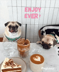 Tired Coffee GIF