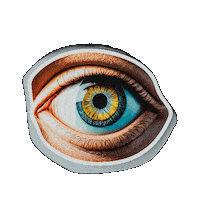 Eye What Sticker