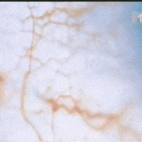 Nine Inch Nails Nin GIF by absurdnoise