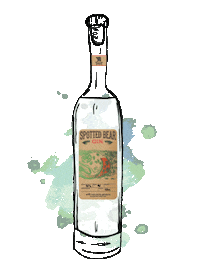 Drink Alcohol Sticker by Spotted Bear Spirits