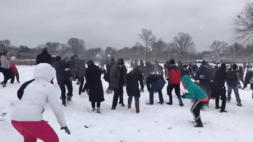 Mass Snowball Fight Breaks Out in National Mall