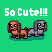 Dog Love GIF by Abstract HotDogs