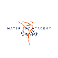 Materacademy Sticker by Mater Bay