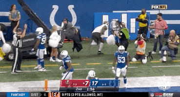 Leonard Fournette Football GIF by NFL