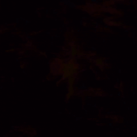 sleepy good night GIF by joecappa