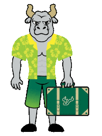 South Florida Summer Sticker by University of South Florida