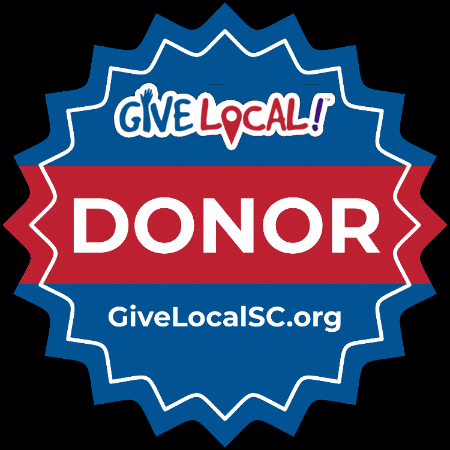 Sc Chester GIF by emdev