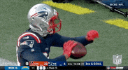 New England Patriots Football GIF by NFL