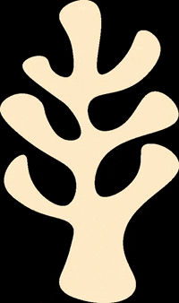 New-Practice avenue walkup craigmillar walkupavenue GIF