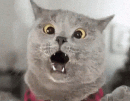 eraykaleli giphyupload GIF