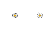 Flowers Sunday Sticker by westeggpress
