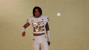 Georgia Tech Football Sport GIF by Georgia Tech Yellow Jackets