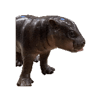 Grand Rapids Fun Sticker by John Ball Zoo